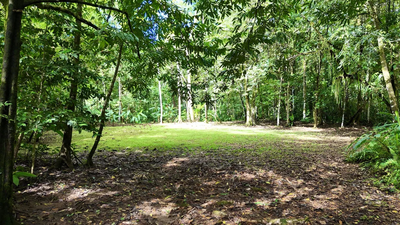MOUNTAIN BUILDING PROPERTY WITH A CREEK, IN SAN JOSECITO – 5.9 ACRES, photo 23