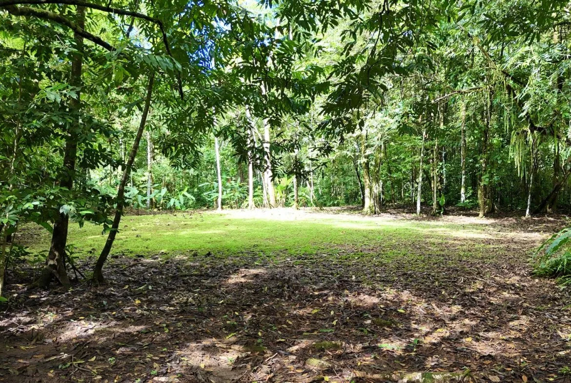 MOUNTAIN BUILDING PROPERTY WITH A CREEK, IN SAN JOSECITO – 5.9 ACRES, photo 24