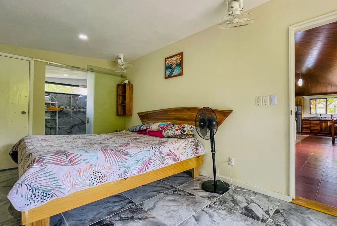 PROPERTY WITH POOL STEPS OF THE BEACH WITH ADJACENT LOT , IN BAHIA BALLENA – 0.49 ACRES, photo 22