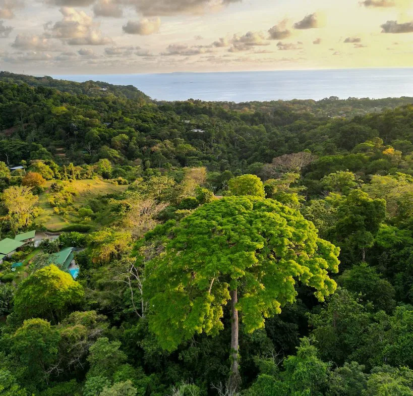 Build Your Vision in Uvita – 15.9 Ocean View Acres with Easy Access + Utilities Ready!, photo 13