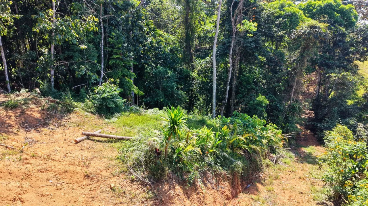 Land For Sale 1.8 Hectares Fully Serviced &amp; Nature-Surrounded in Quizarra Ready to Build, photo 11