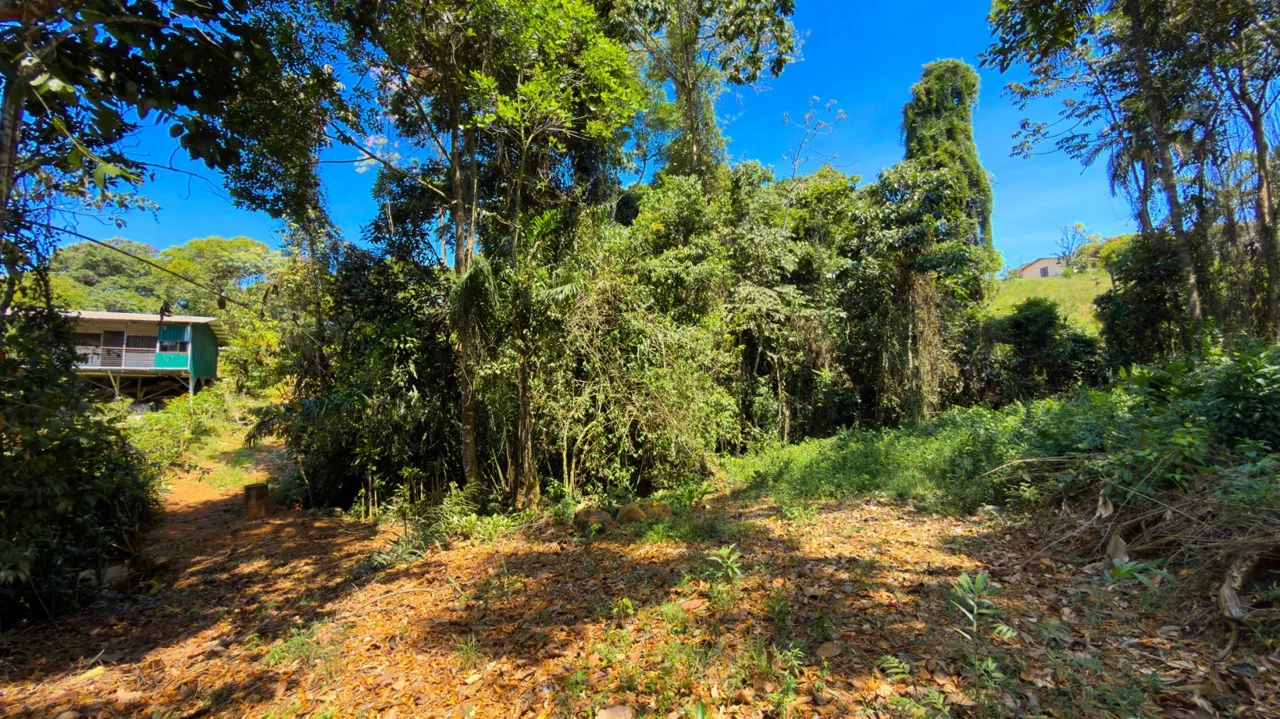 Land For Sale 1.8 Hectares Fully Serviced &amp; Nature-Surrounded in Quizarra Ready to Build, photo 13