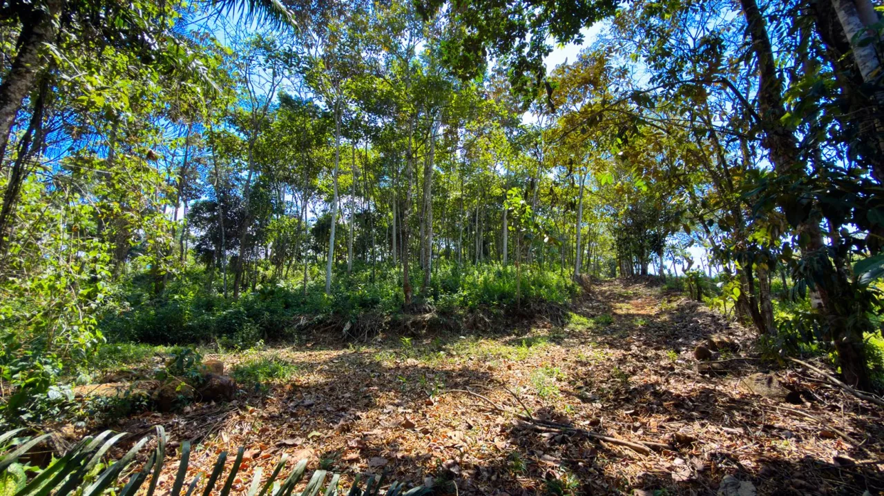 Land For Sale 1.8 Hectares Fully Serviced &amp; Nature-Surrounded in Quizarra Ready to Build, photo 14