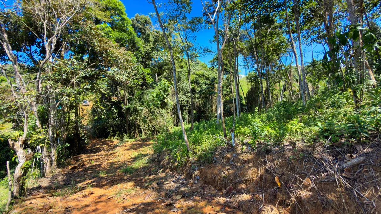 Land For Sale 1.8 Hectares Fully Serviced &amp; Nature-Surrounded in Quizarra Ready to Build, photo 6