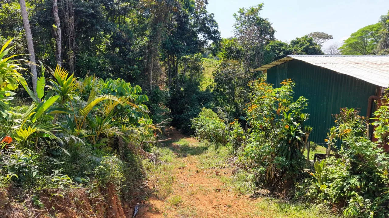 Land For Sale 1.8 Hectares Fully Serviced &amp; Nature-Surrounded in Quizarra Ready to Build, photo 7