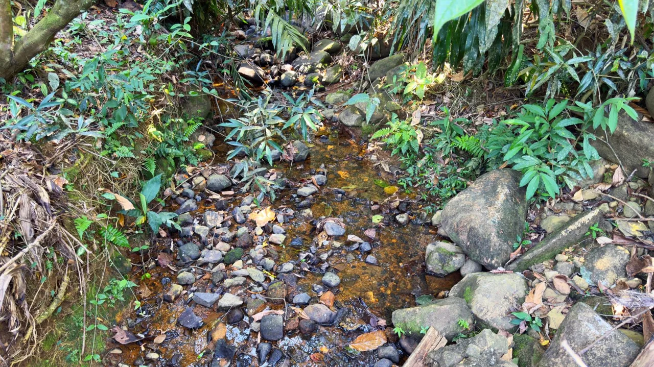 Land For Sale 1.8 Hectares Fully Serviced &amp; Nature-Surrounded in Quizarra Ready to Build, photo 8