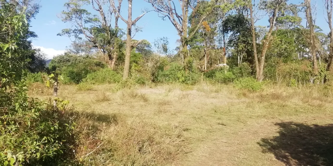Se venden dos lindos terrenos en San Rafael de Montes de Oca, cerca del Restaurante El Pizote (a 5 minutos), en una zona rural, de baja densidad, rodeado de fincas y pocas casas., photo 3