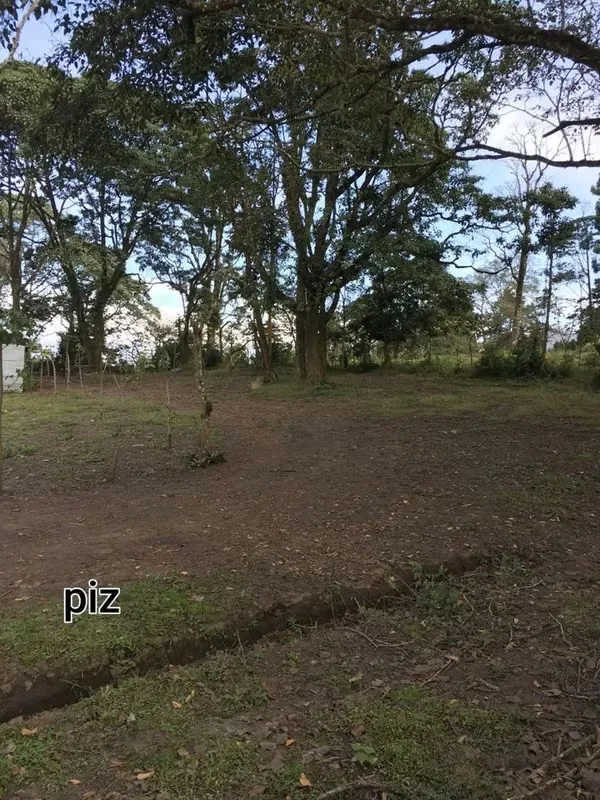 Se venden dos lindos terrenos en San Rafael de Montes de Oca, cerca del Restaurante El Pizote (a 5 minutos), en una zona rural, de baja densidad, rodeado de fincas y pocas casas., photo 5