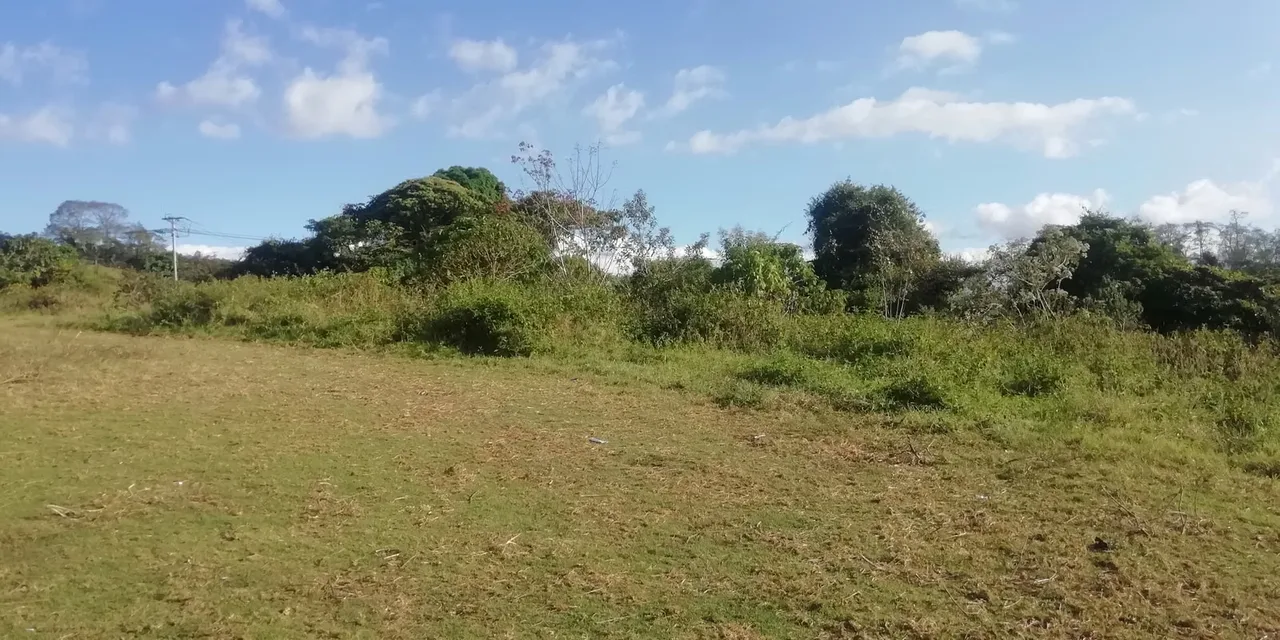 Se venden dos lindos terrenos en San Rafael de Montes de Oca, cerca del Restaurante El Pizote (a 5 minutos), en una zona rural, de baja densidad, rodeado de fincas y pocas casas., photo 6