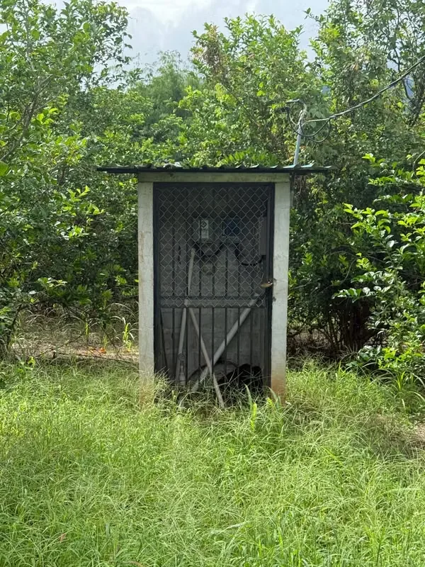 Finca Productiva de Mango en Venta en Turrubares el Llano | 62.281 m² con Ingresos Activos, photo 9
