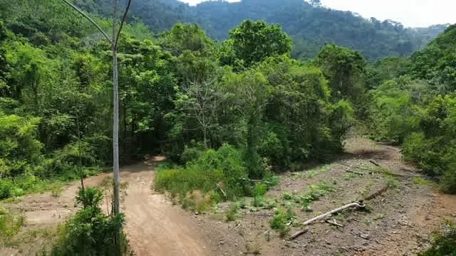 Development land for sale in Herradura