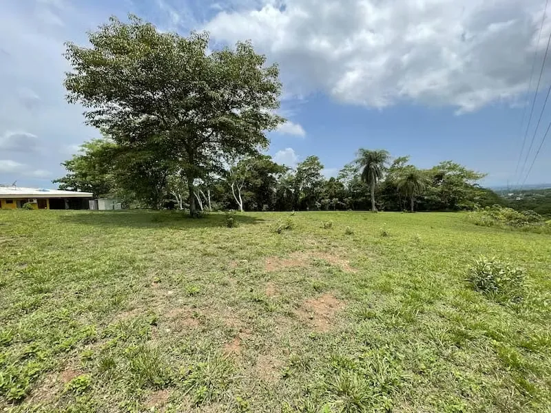 Lot for sale 7000 square meters in Campos Espamar, Gated Community, excellent neighbors., photo 2