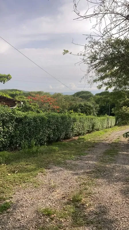 Lot for sale 7000 square meters in Campos Espamar, Gated Community, excellent neighbors., photo 3