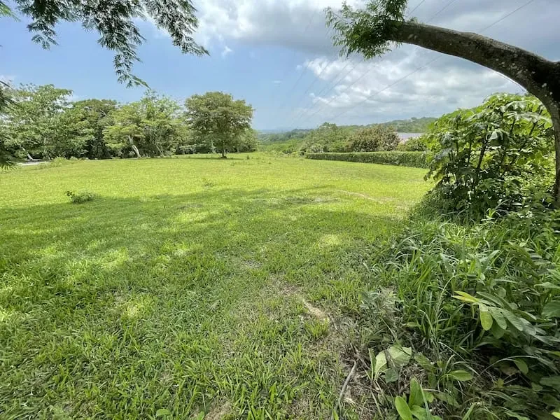 Lot for sale 7000 square meters in Campos Espamar, Gated Community, excellent neighbors., photo 5