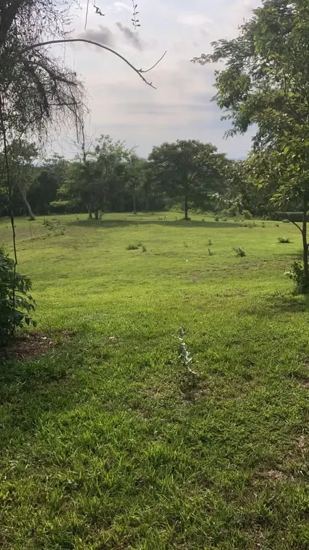 Lot for sale 7000 square meters in Campos Espamar, Gated Community, excellent neighbors., photo 6