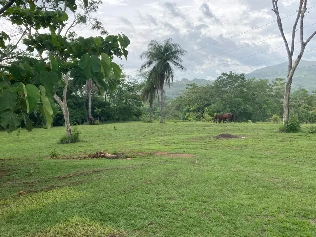 Lot for sale 7000 square meters in Campos Espamar, Gated Community, excellent neighbors., photo 7