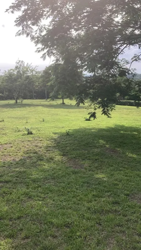 Lot for sale 7000 square meters in Campos Espamar, Gated Community, excellent neighbors., photo 8