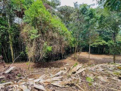 8.4 ACRE PROPERTY WITH COMMERCIAL AND RESIDENCIAL USE IN OJOCHAL, photo 26