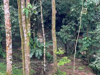 8.4 ACRE PROPERTY WITH COMMERCIAL AND RESIDENCIAL USE IN OJOCHAL, photo 27