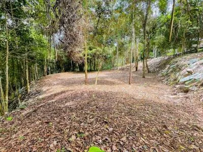 8.4 ACRE PROPERTY WITH COMMERCIAL AND RESIDENCIAL USE IN OJOCHAL, photo 28