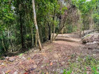 8.4 ACRE PROPERTY WITH COMMERCIAL AND RESIDENCIAL USE IN OJOCHAL, photo 29
