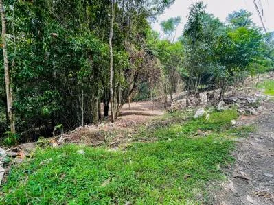 8.4 ACRE PROPERTY WITH COMMERCIAL AND RESIDENCIAL USE IN OJOCHAL, photo 30