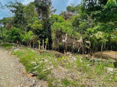 8.4 ACRE PROPERTY WITH COMMERCIAL AND RESIDENCIAL USE IN OJOCHAL, photo 31