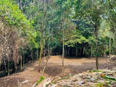 8.4 ACRE PROPERTY WITH COMMERCIAL AND RESIDENCIAL USE IN OJOCHAL, photo 33