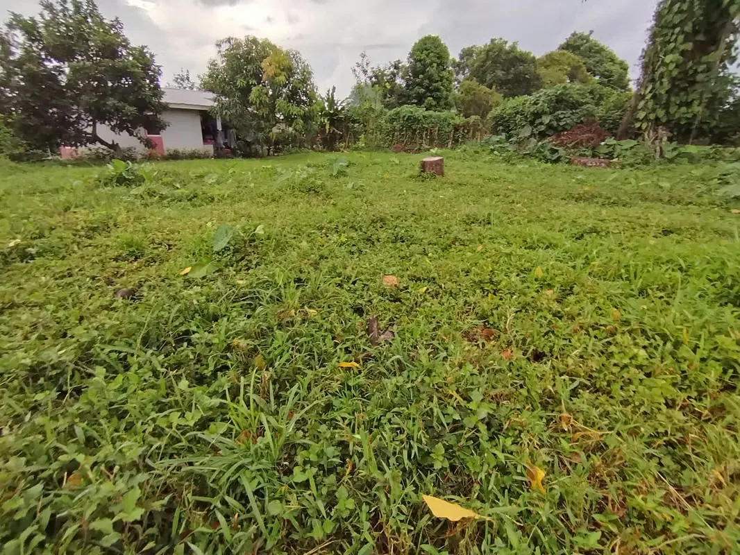 Looking for the ideal place to build your dream house or invest in a high-demand area? This lot is for you!