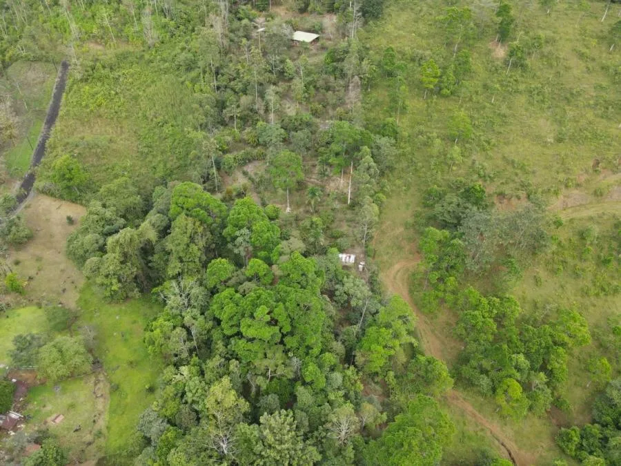 Finca en Venta Ubicada en Alajuela, San Carlos  - Venta en San Carlos