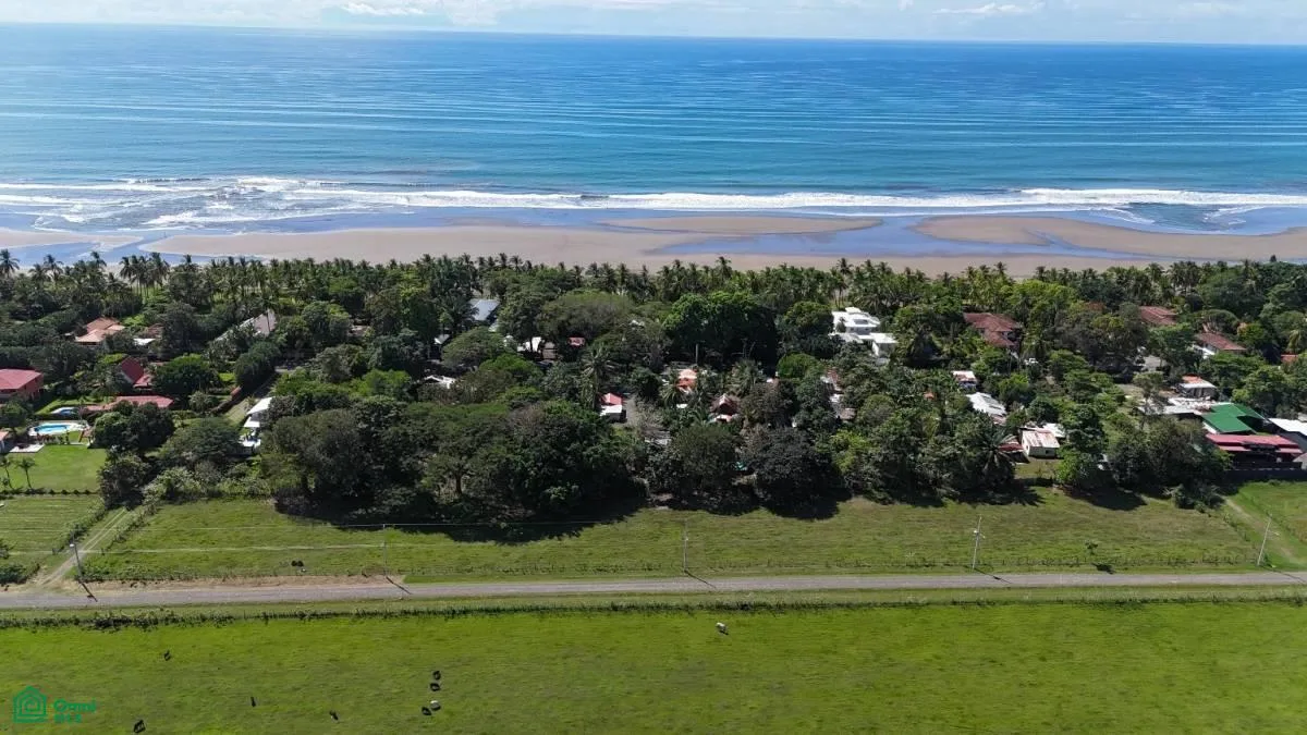 Parrita Puntarenas, photo 3