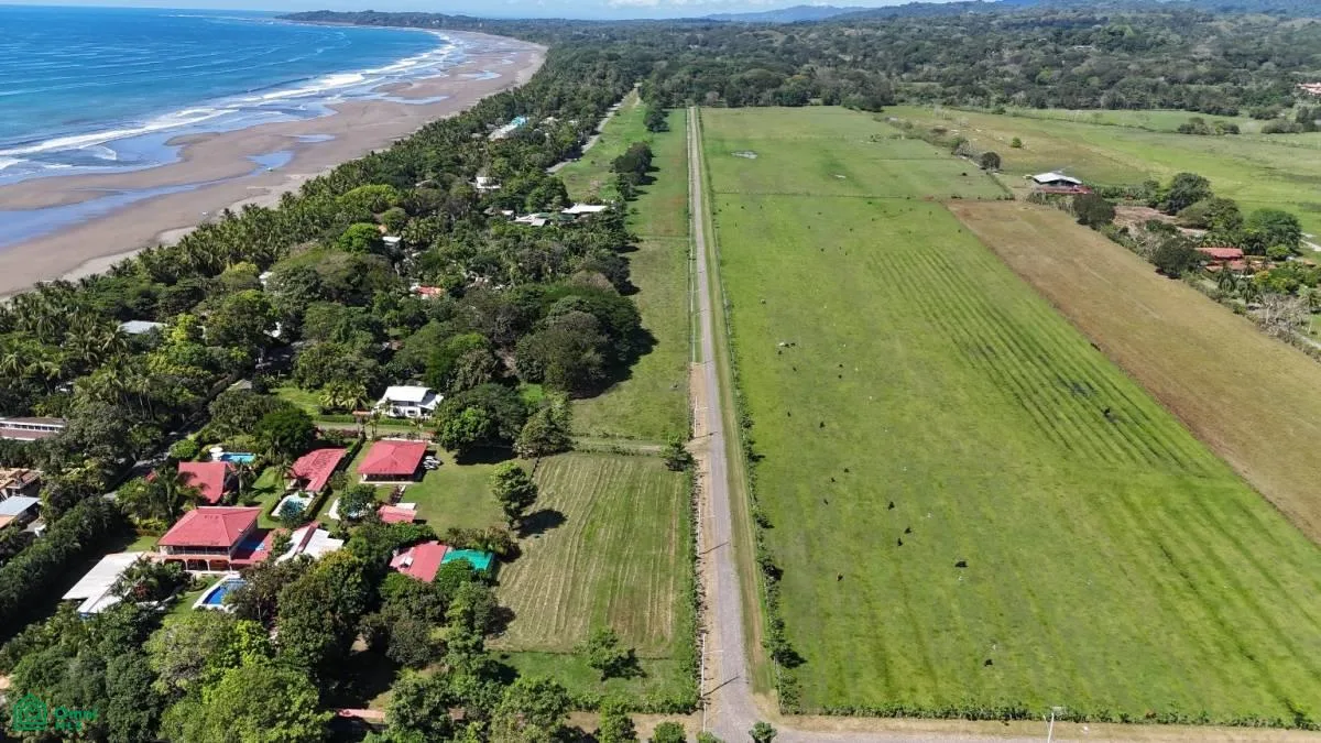 Parrita Puntarenas, photo 5
