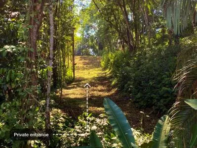 Unique Forest Lot in Cinco Ventanas,, photo 4