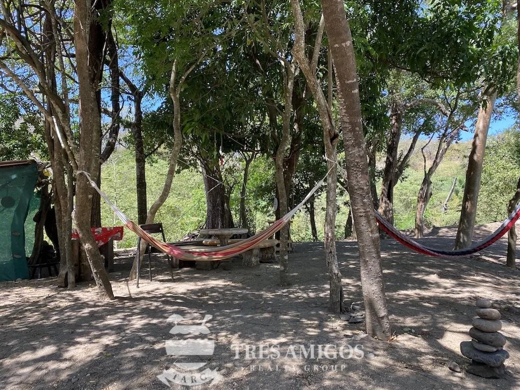 GUAYABO ONE HECTARE COMMERCIAL LOT, photo 2
