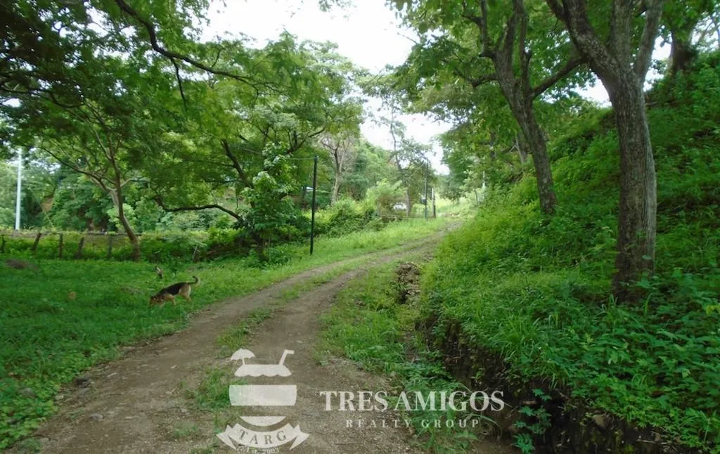 GUAYABO ONE HECTARE COMMERCIAL LOT, photo 3