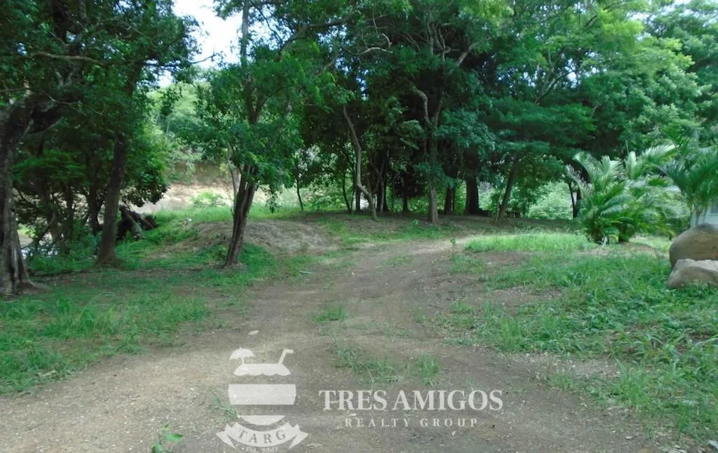 GUAYABO ONE HECTARE COMMERCIAL LOT, photo 4