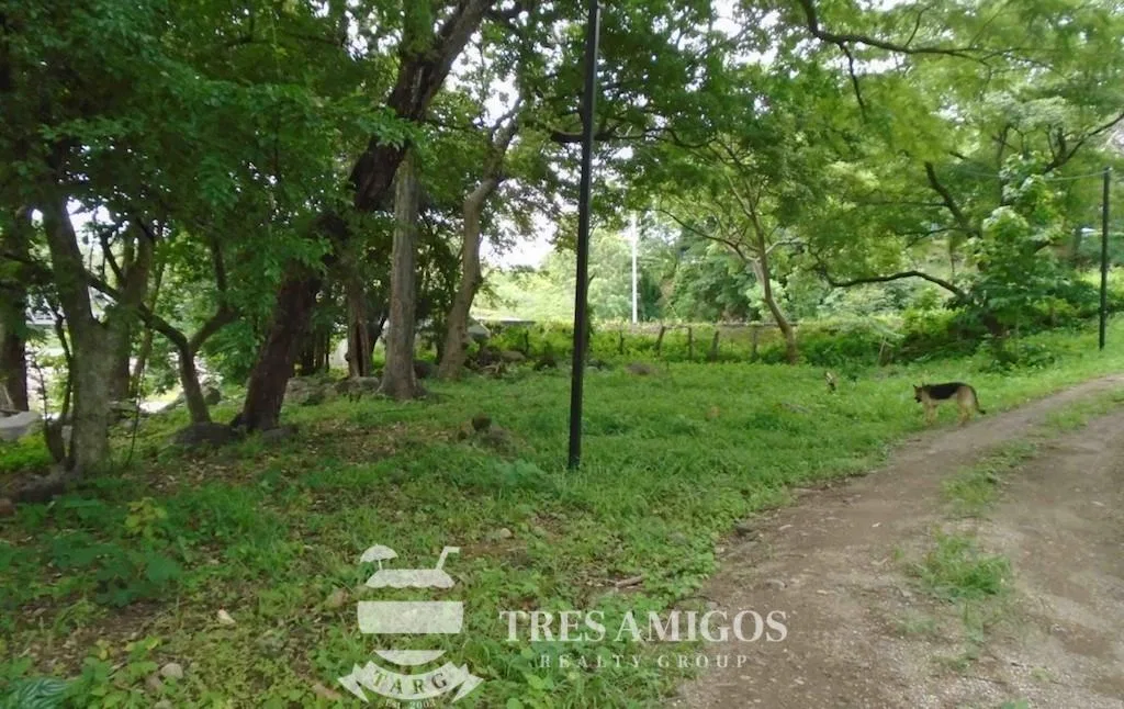 GUAYABO ONE HECTARE COMMERCIAL LOT, photo 5