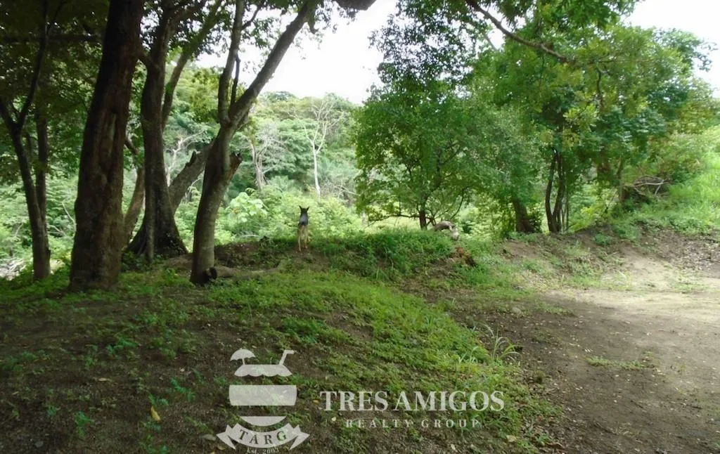 GUAYABO ONE HECTARE COMMERCIAL LOT, photo 6