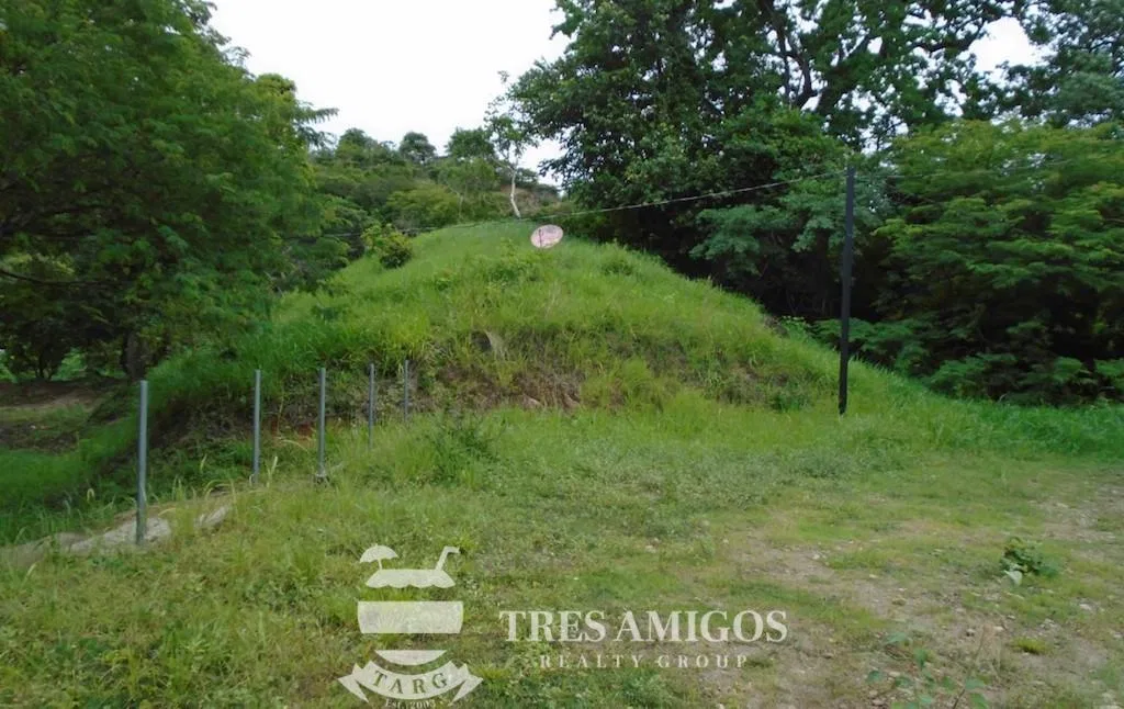 GUAYABO ONE HECTARE COMMERCIAL LOT, photo 7