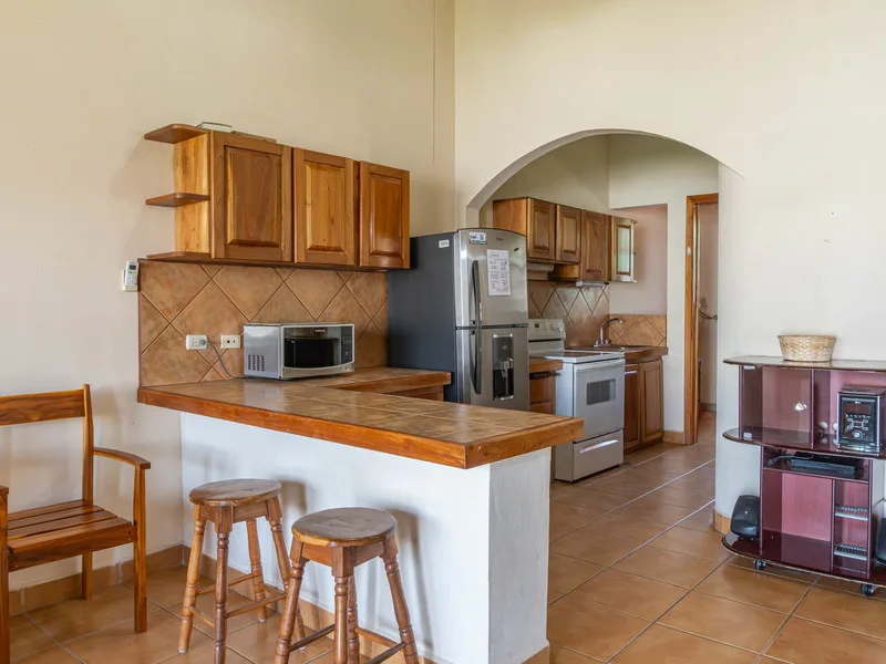 3 Bed Condo For Sale in Samara, photo 4