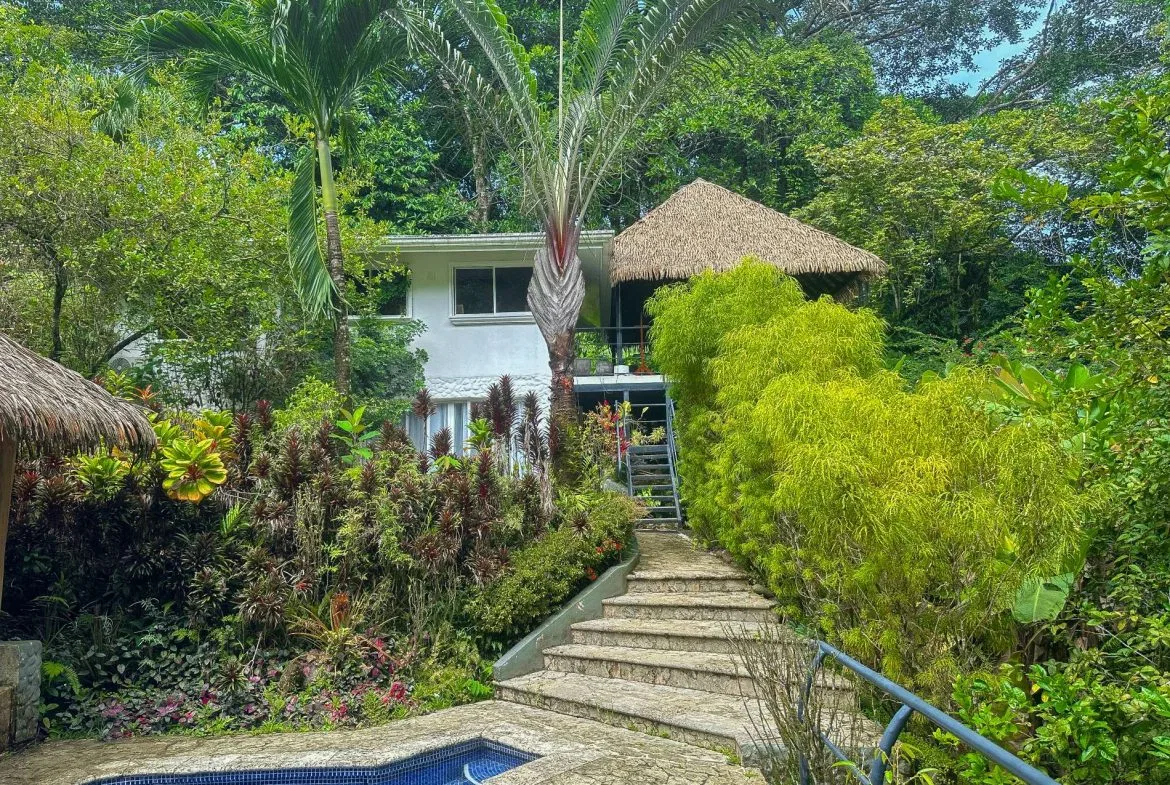 PROPERTY WITH GUEST HOUSE, IN OJOCHAL – 1.96 ACRES, photo 2