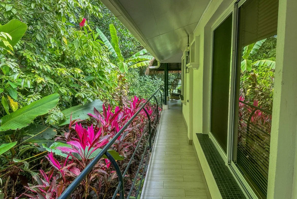 PROPERTY WITH GUEST HOUSE, IN OJOCHAL – 1.96 ACRES, photo 14