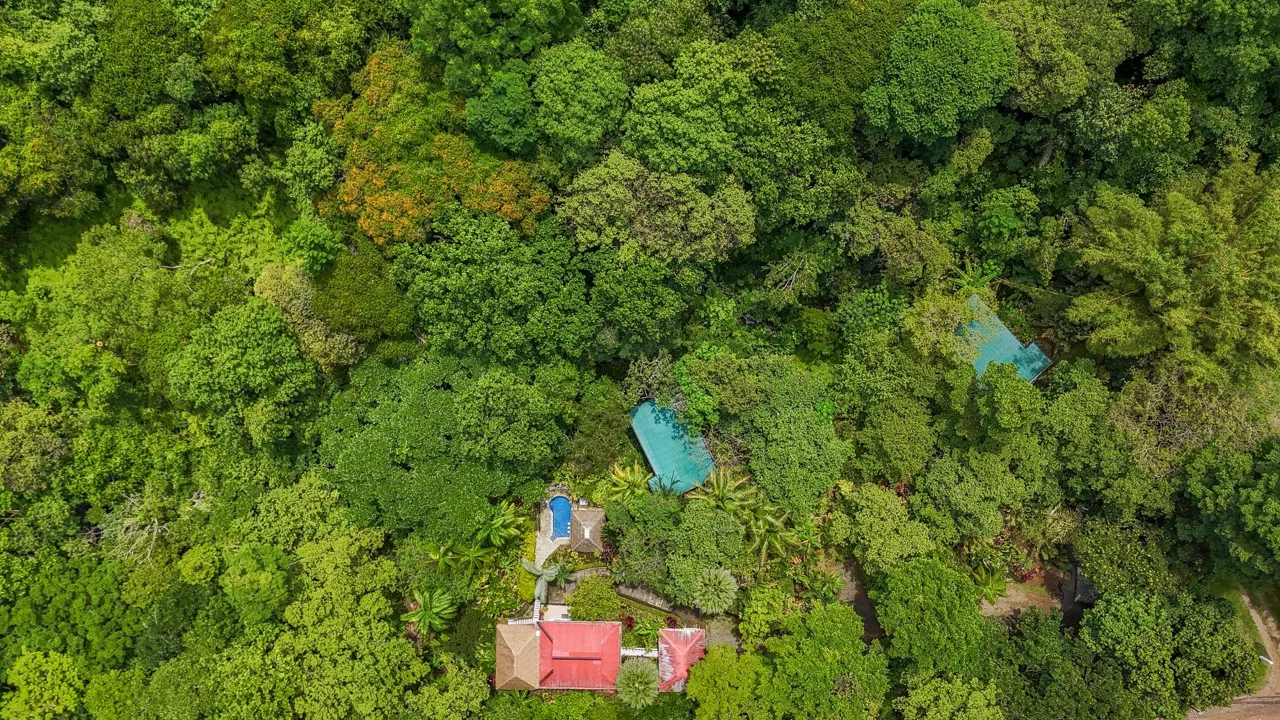 PROPERTY WITH GUEST HOUSE, IN OJOCHAL – 1.96 ACRES, photo 3