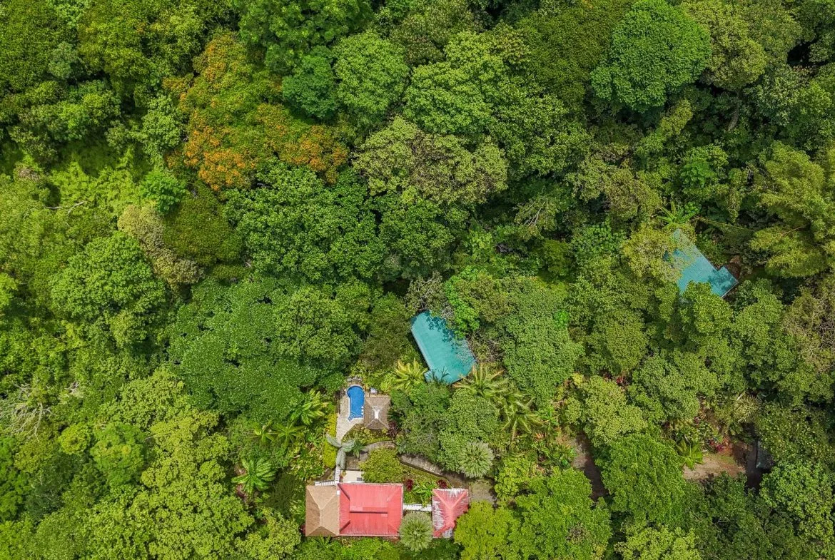 PROPERTY WITH GUEST HOUSE, IN OJOCHAL – 1.96 ACRES, photo 4