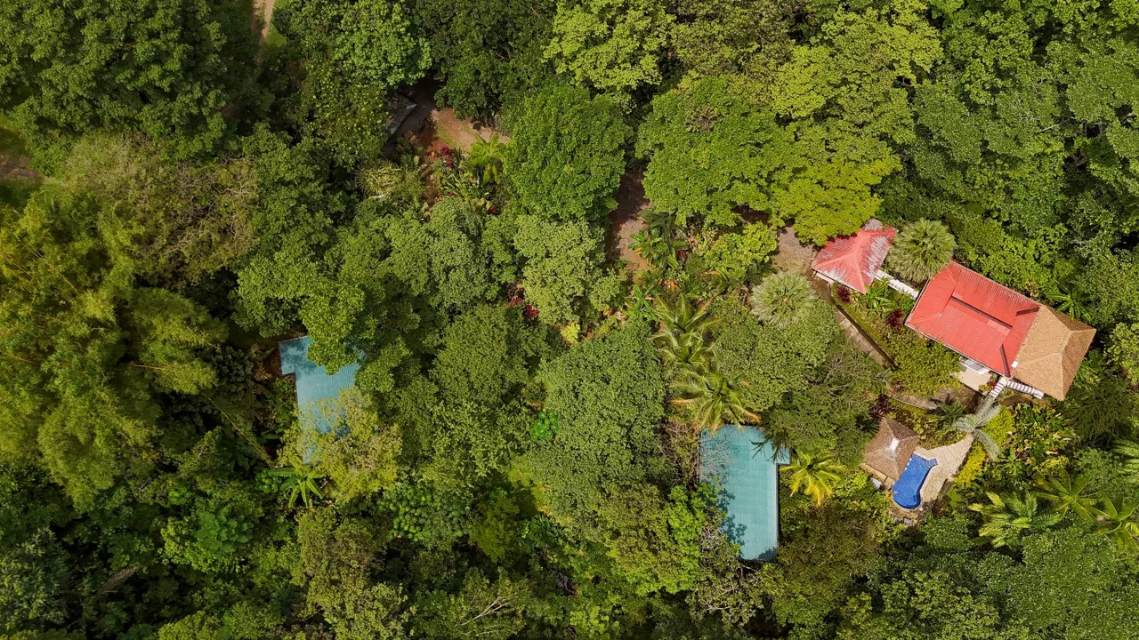 PROPERTY WITH GUEST HOUSE, IN OJOCHAL – 1.96 ACRES, photo 5
