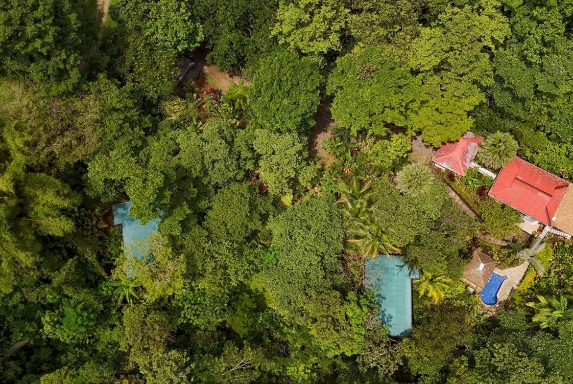 PROPERTY WITH GUEST HOUSE, IN OJOCHAL – 1.96 ACRES, photo 6
