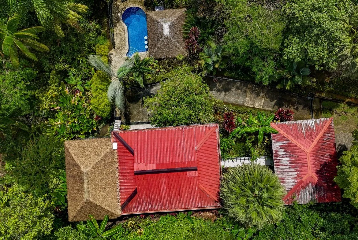 PROPERTY WITH GUEST HOUSE, IN OJOCHAL – 1.96 ACRES, photo 8