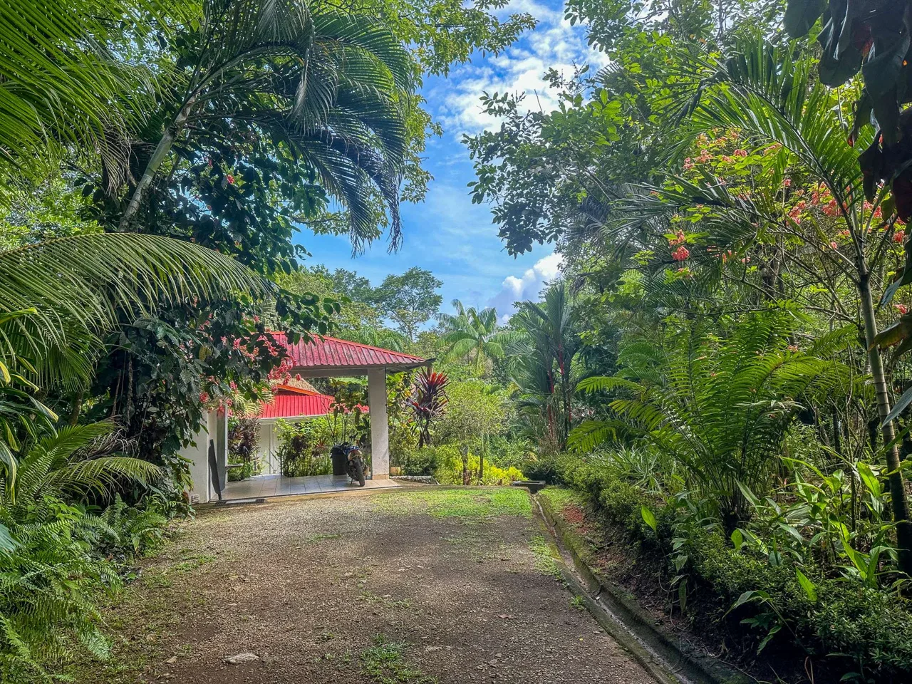 PROPERTY WITH GUEST HOUSE, IN OJOCHAL – 1.96 ACRES, photo 9