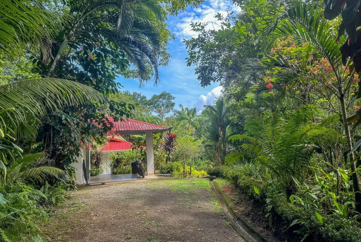 PROPERTY WITH GUEST HOUSE, IN OJOCHAL – 1.96 ACRES, photo 10