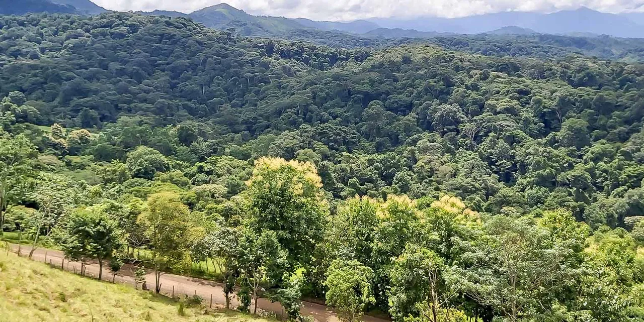 Finca Agropecuaria La Cangreja in Puriscal